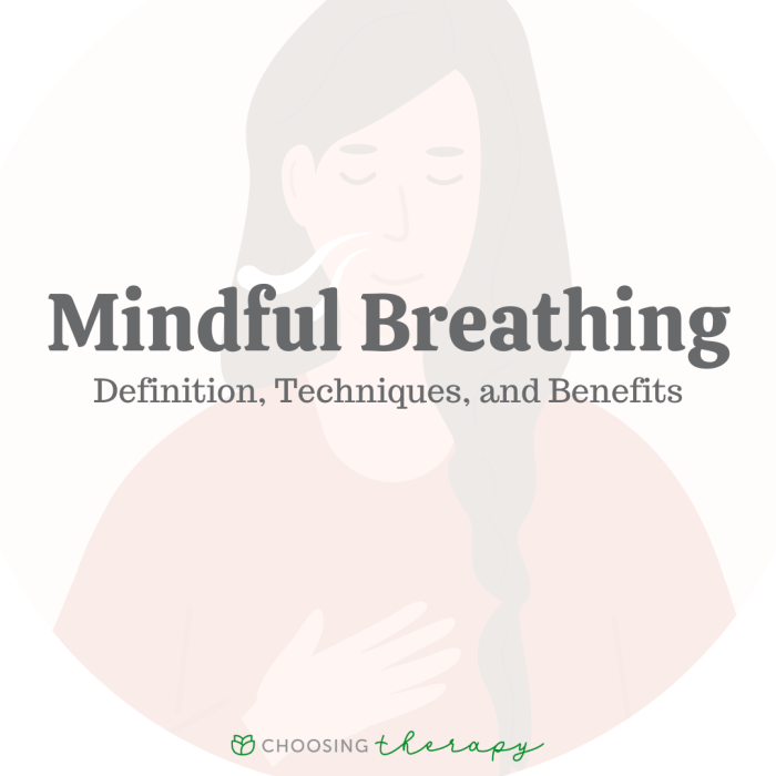 Meditation mindfulness visual infographic embed