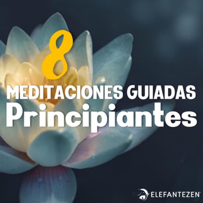 Meditaciones escritas guiadas artículo